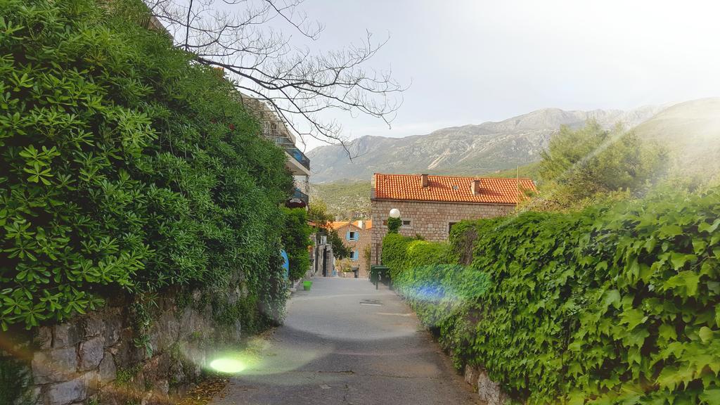 Apartments Rino Lux Sveti Stefan Dış mekan fotoğraf